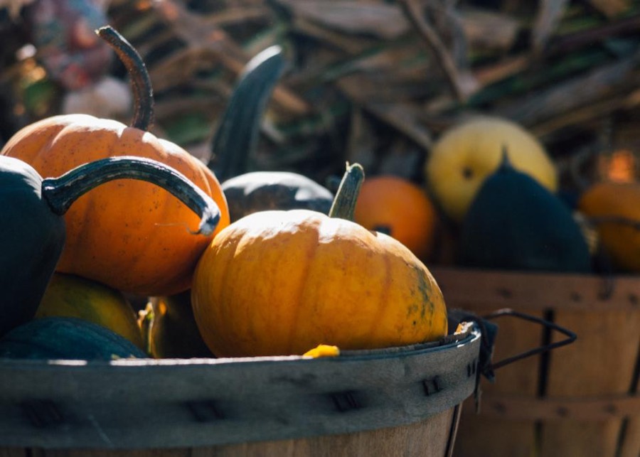 Small orange pie pumpkins in a bushel basket