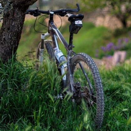 A hardtail mountain bike parked in long grass against a tree trunk