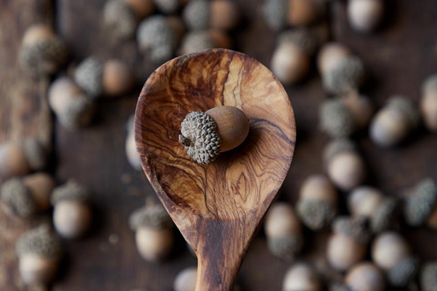 An acorn resting in a wooden spoon
