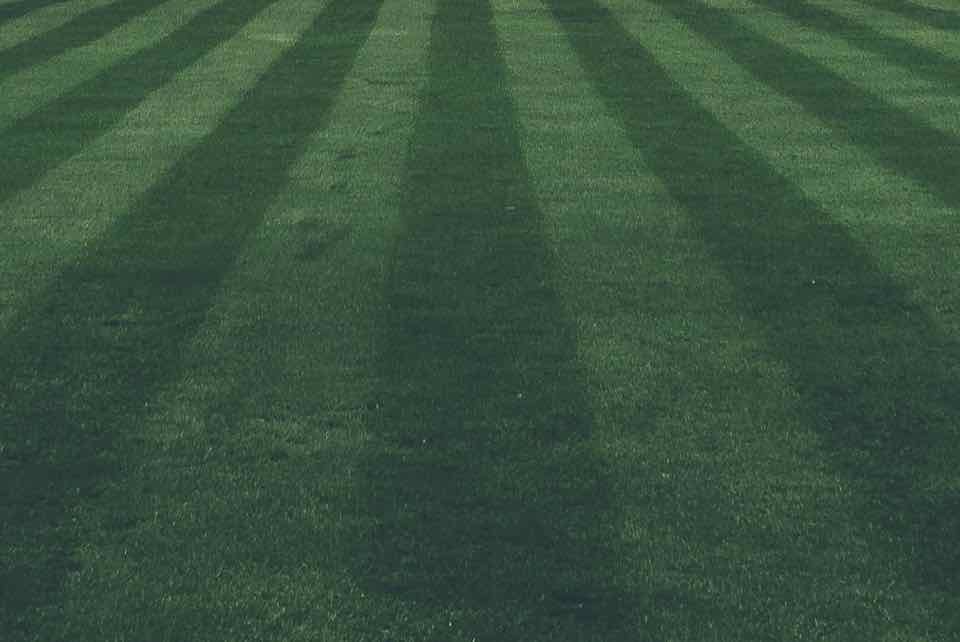 Freshly mown lawn cut in alternating light and dark stripes
