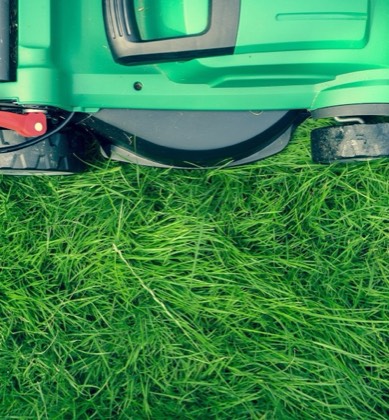 Top-down view of a green push mower at the edge of long grass