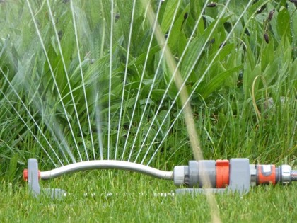 Oscillating sprinkler watering a lawn