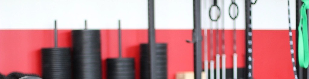 Stacks of bumper plates on storage posts, gymnastic rings and barbells hanging on a rig against the wall