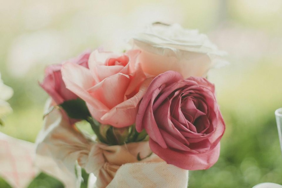 Pink and blush garden roses gathered in a loose hand-tied posy