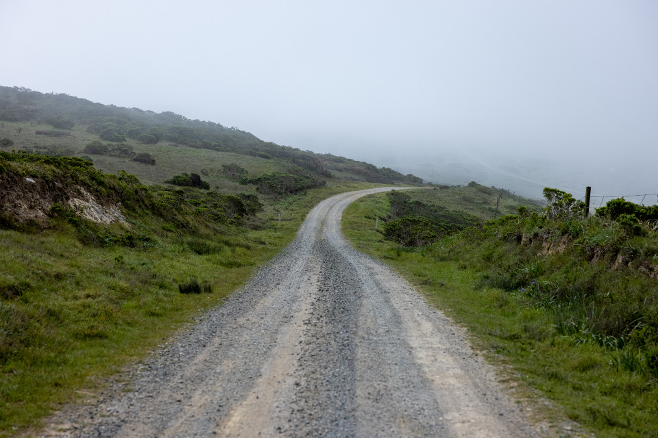 A gravel track curving up a grassy hillside into low fog