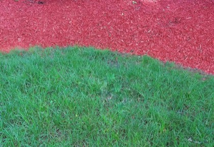 Lawn edge curving against a bed of red cedar mulch