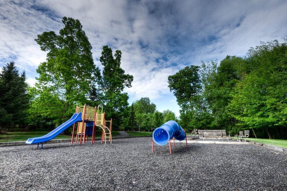 The empty fenced playground with a blue slide under tall trees